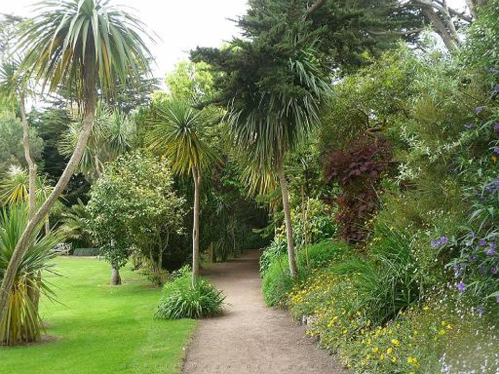 131 Ile de Batz Jardin Georges Delaselle_000025.jpg